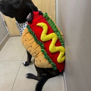 Halloween Hot Dog Dog Costume